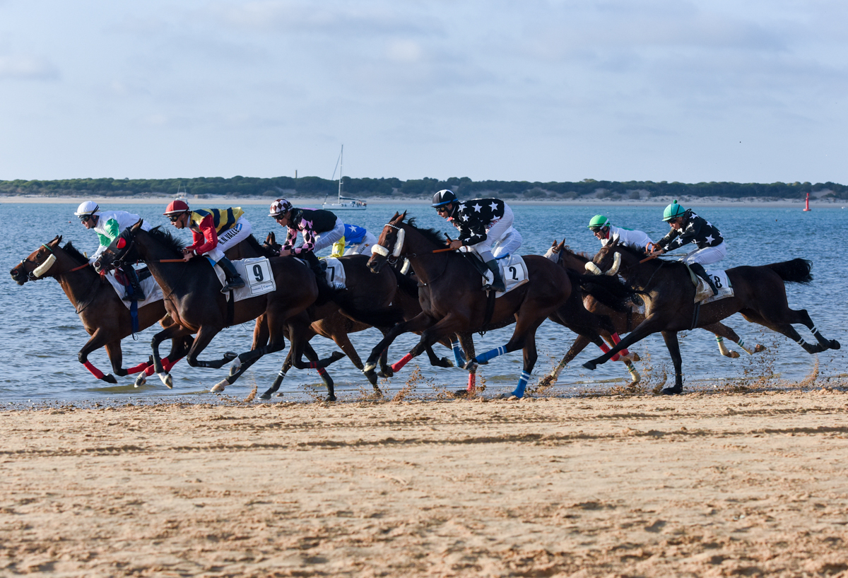 Sanlucar_de_Barrameda_horse_races_028